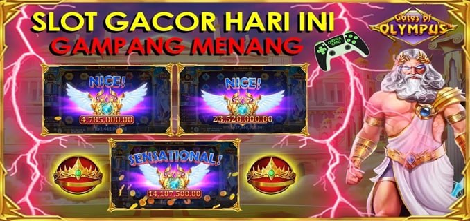 Duittogel Pro