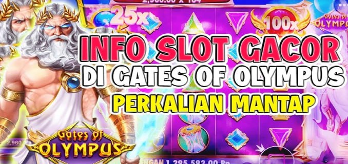 Duittogel Pro