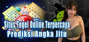 Login Duittogel